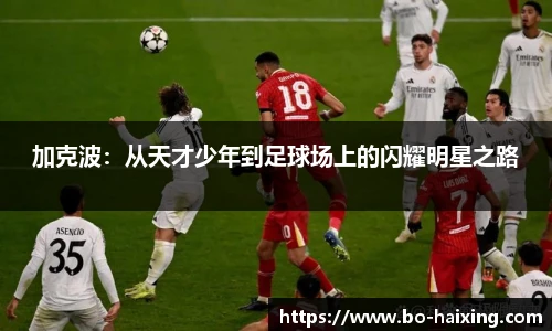 海星体育直播