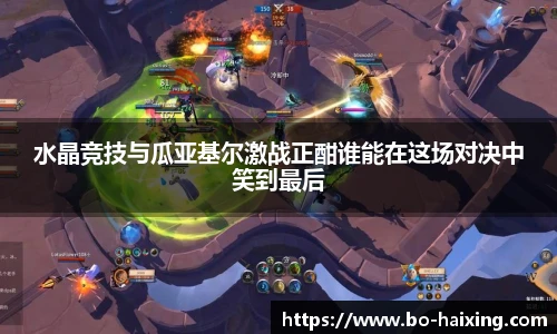 海星体育直播